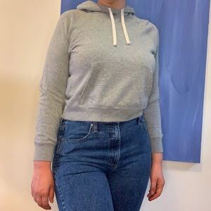 Everlane Grey Pullover Hoodie